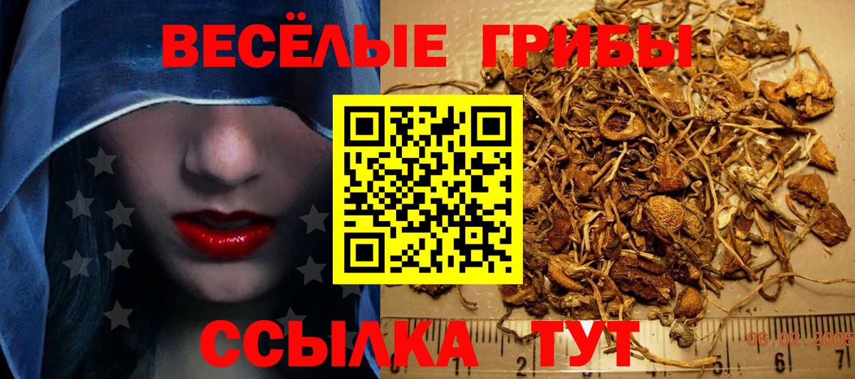 Псилоцибиновые грибы прущие грибы Иркутск