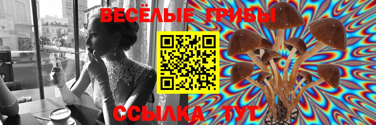 Псилоцибиновые грибы GOLDEN TEACHER  Вход с VPN  хочу наркоту  Иркутск 